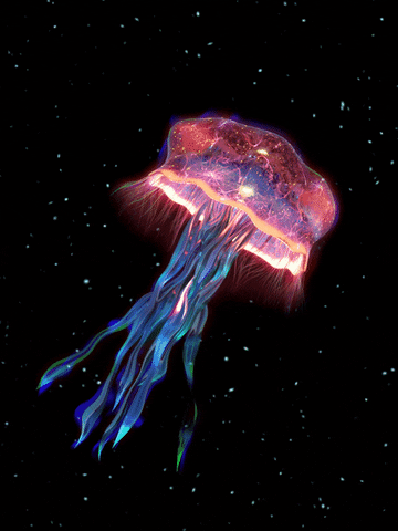Quiz sur les Méduses : Combien en savez-vous sur ces créatures marines ?